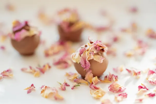 Sun Palace Casino Android/iOS App